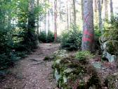  Blick auf die Wanderstrecke 